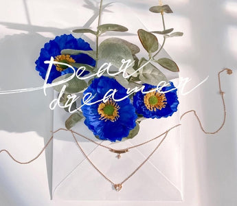 Chapter 04 - Dear Dreamer: Read this Love Letter Before You Go