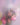 Birth Flower