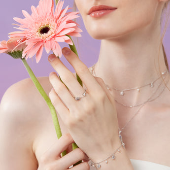 Iris | February Birth Flower Collection