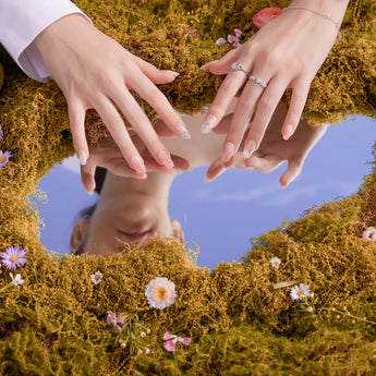 Aster | September Birth Flower Collection