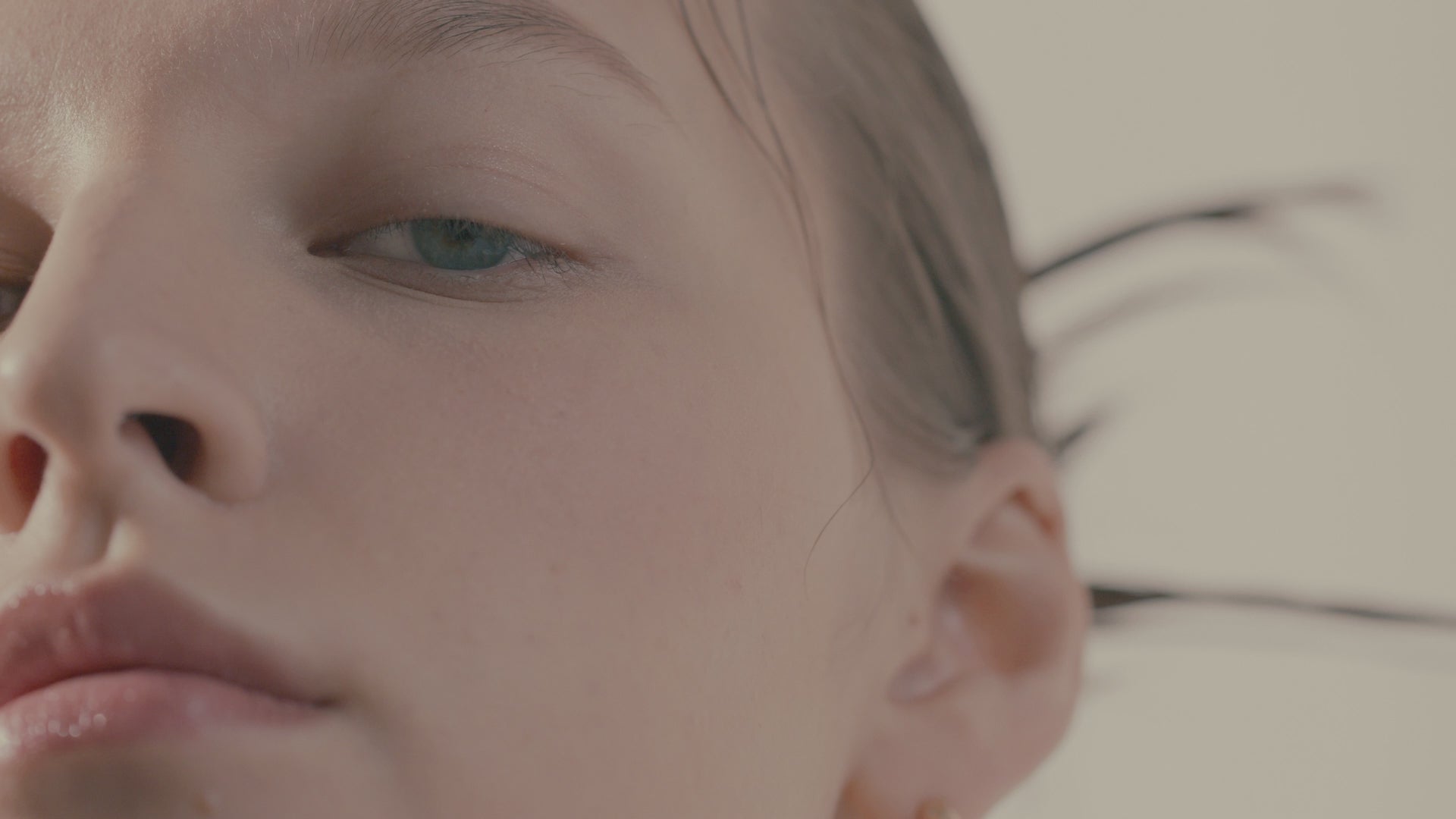 Love by the Moon stellar